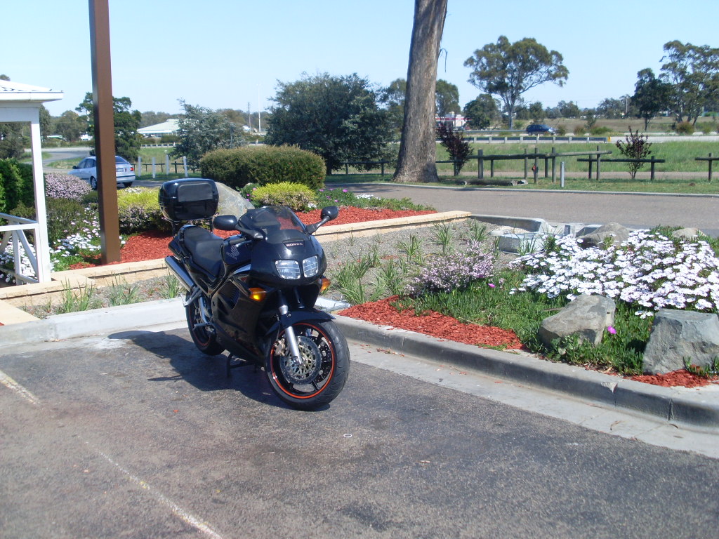 Garden at the BP, Marulan